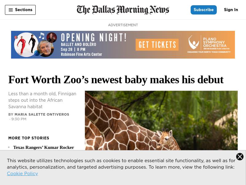 DallasNews Corporation Soared