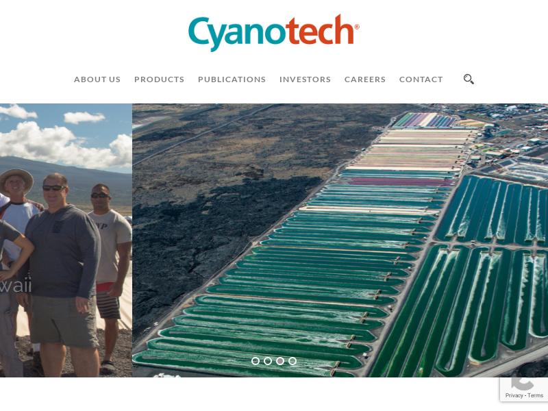 A Day Up For Cyanotech Corporation